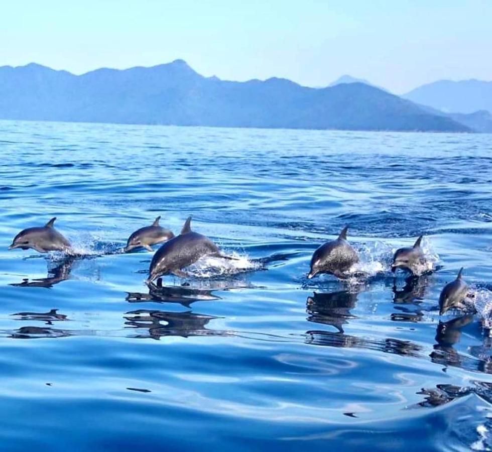 Pousada Costao Do Sol アングラドスレイス エクステリア 写真